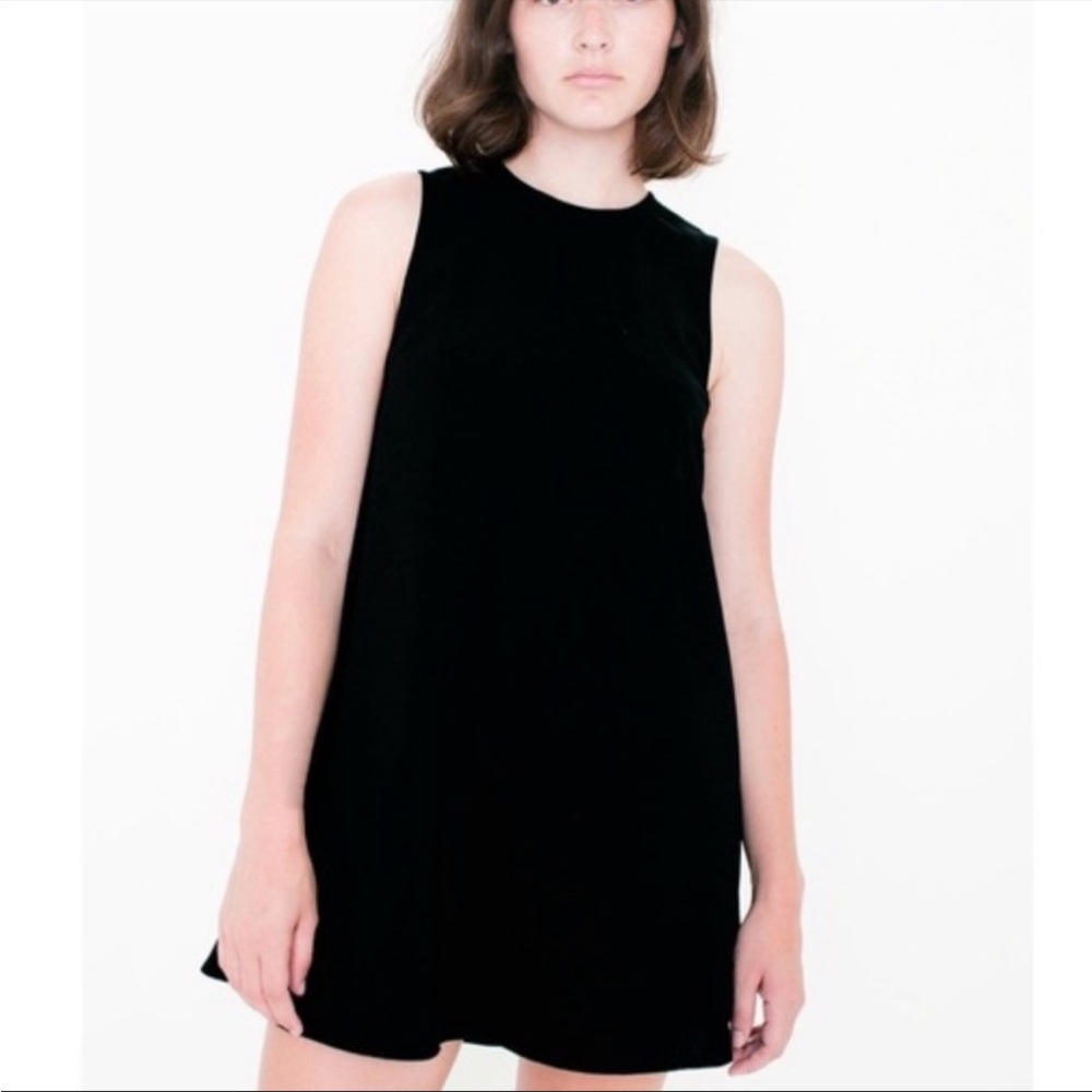 American Apparel Dekota Dress